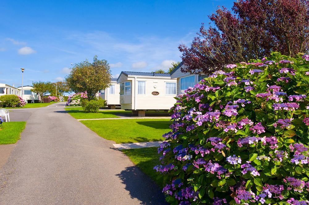 Wooda Farm Holidays Буде Номер фото